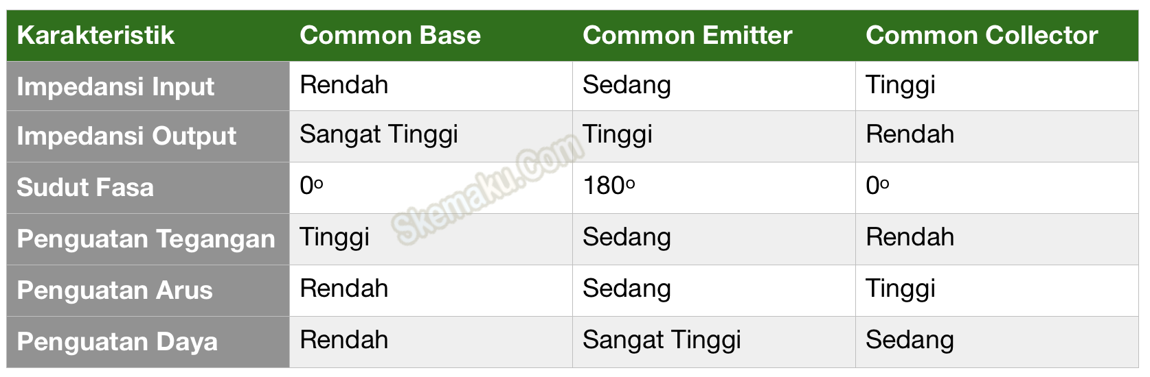 Common base. Common Base бренд.